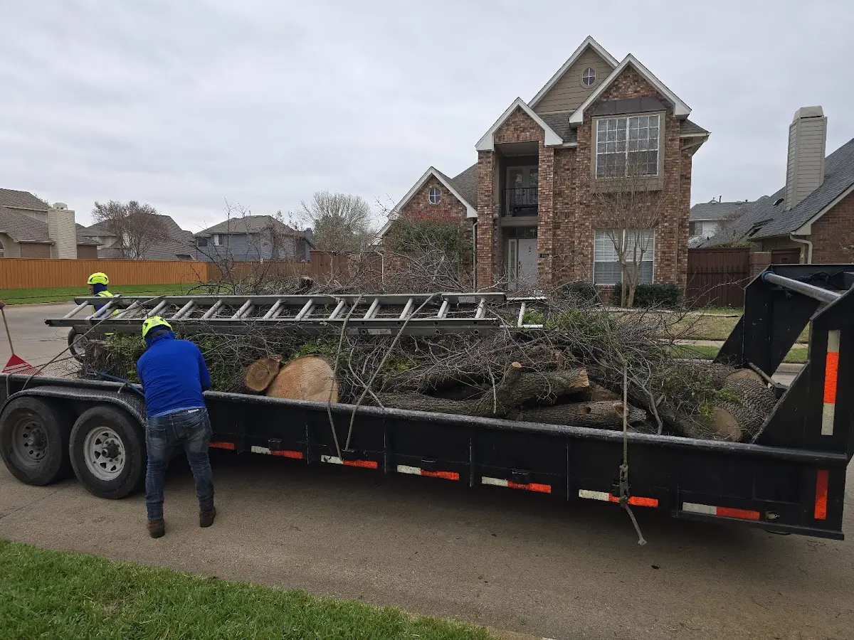 Expert Tree Pest Control with proper safety equipment in Hackettstown